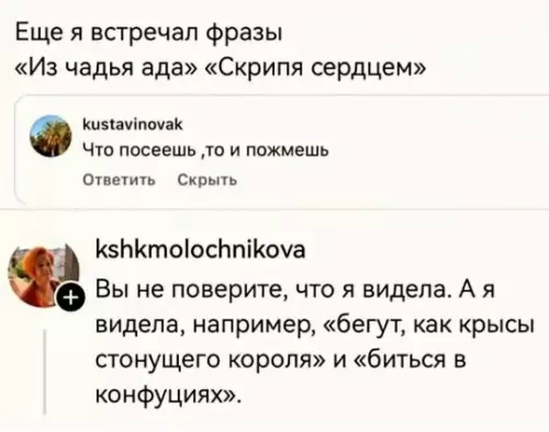 Когда фразеологизмы вышли из-под контроля 🤯 - Еще я встречал фразы Из чадья ада Скрипя сердцем kustavinovak: