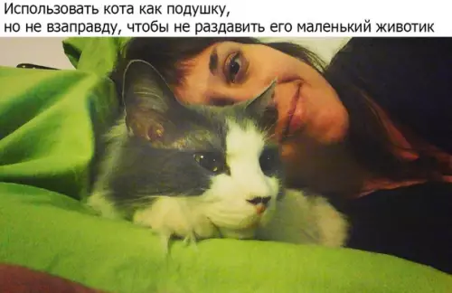 Смешная картинка №323530 Если у вас есть котик, то в этом посте вы узнаете себя!