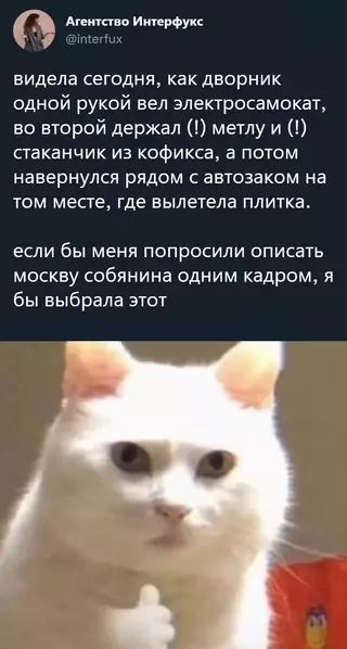 Смешная картинка №676159 москва