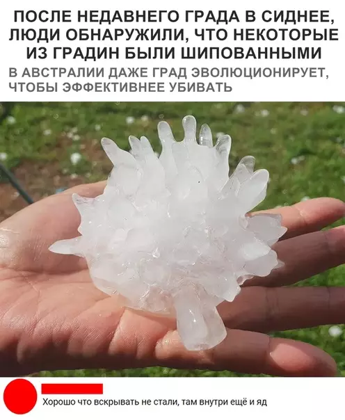 Смешная картинка №320809
