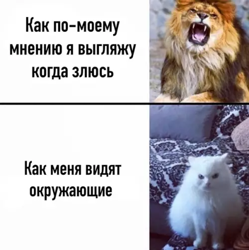 Смешная картинка №515604
