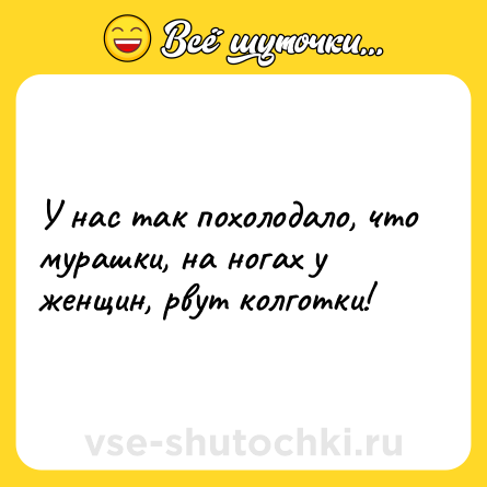 Шутка: У нас так похолодало, что мурашки, на ногах у женщин, рвут колготки!