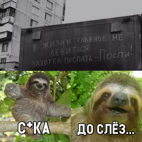 Смешная картинка №303848