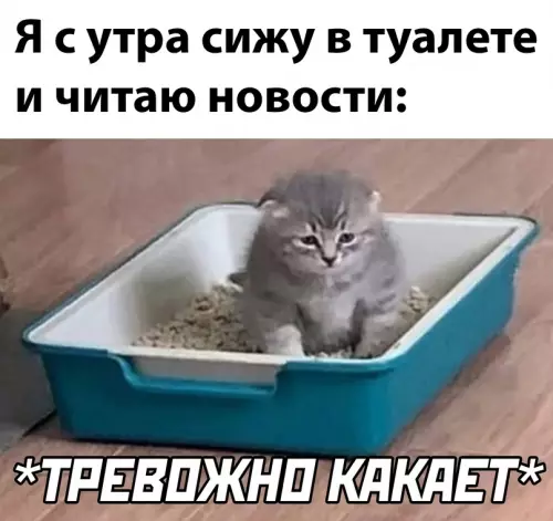 Смешная картинка №632199