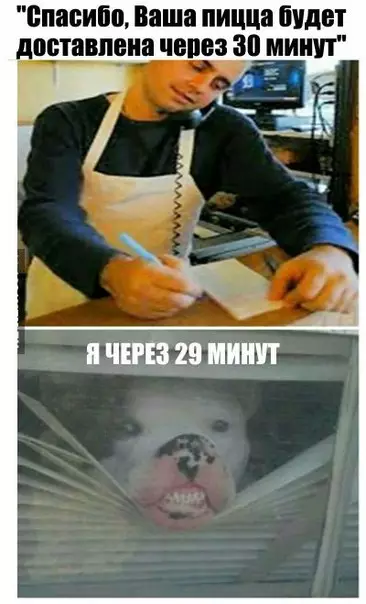 Смешная картинка №228474