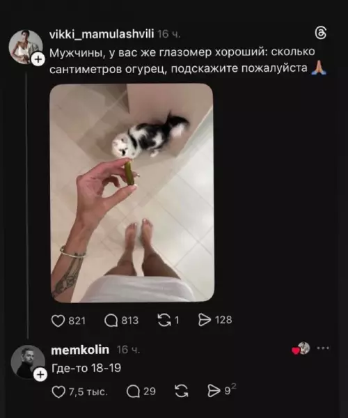 Мужской тест на зоркость 🥒👀 - Мужчины, у вас же глазомер хороший: сколько сантиметров огурец, подскажите