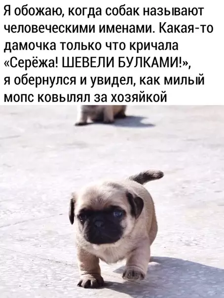 Смешная картинка №486032