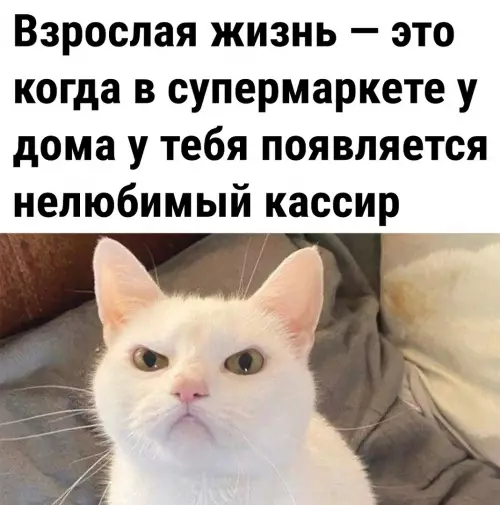 Смешная картинка №628983
