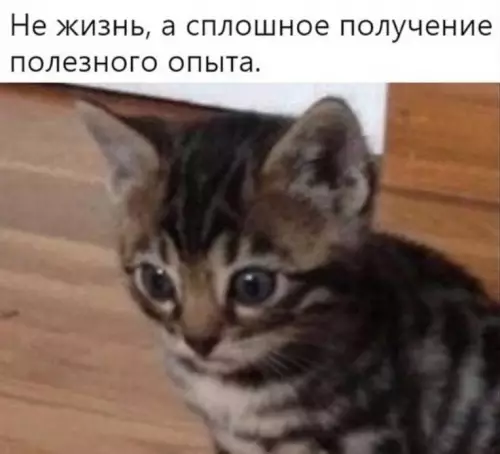 Смешная картинка №661681