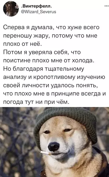 Смешная картинка №615467