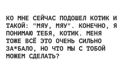 Смешная картинка №269603