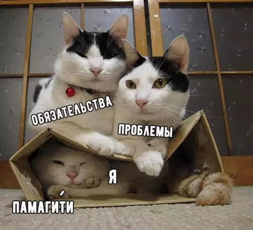 Смешная картинка №247164