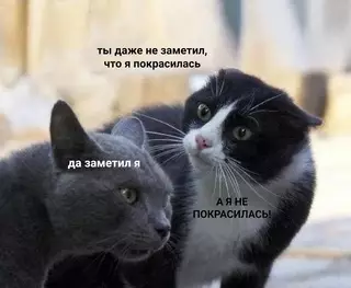 Смешная картинка №629593