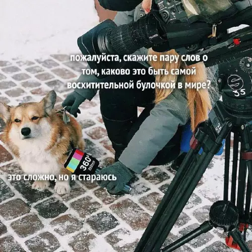 Смешная картинка №699218