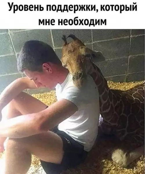 Смешная картинка №652328