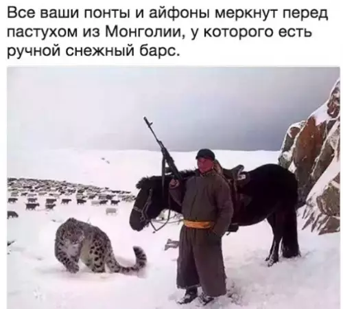 Смешная картинка №289481