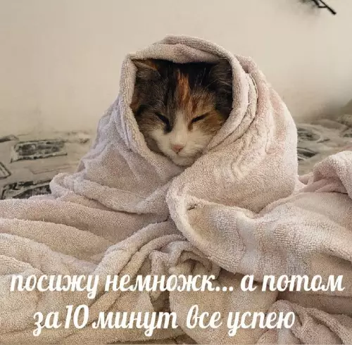 Смешная картинка №822406