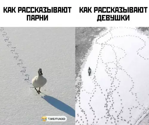 Смешная картинка №705246