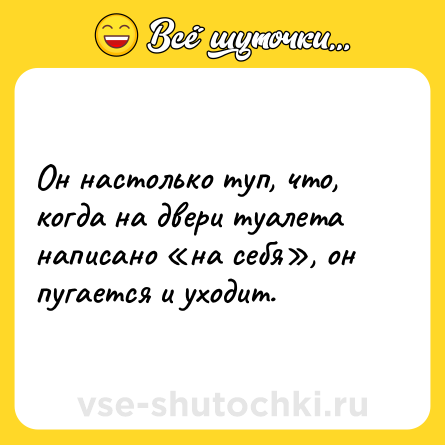 Шутка: Он настолько туп, что, когда на двери туалета написано «на себя», он пугается и уходит.