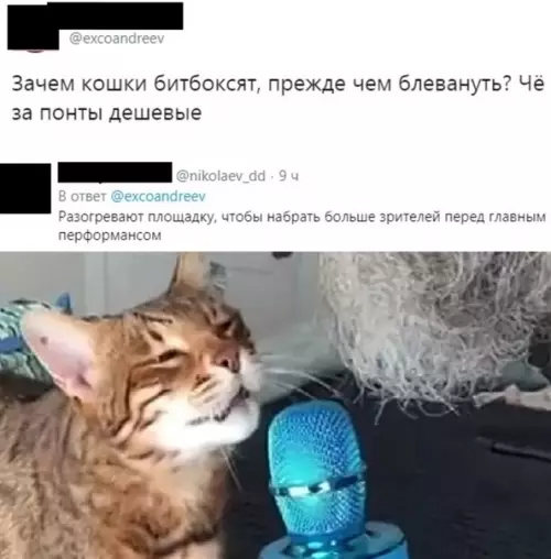 Смешная картинка №521420 Ничто так не бодрит как битбокс в 5 утра