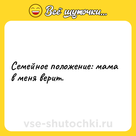 Шутка: Семейное положение: мама в меня верит.
