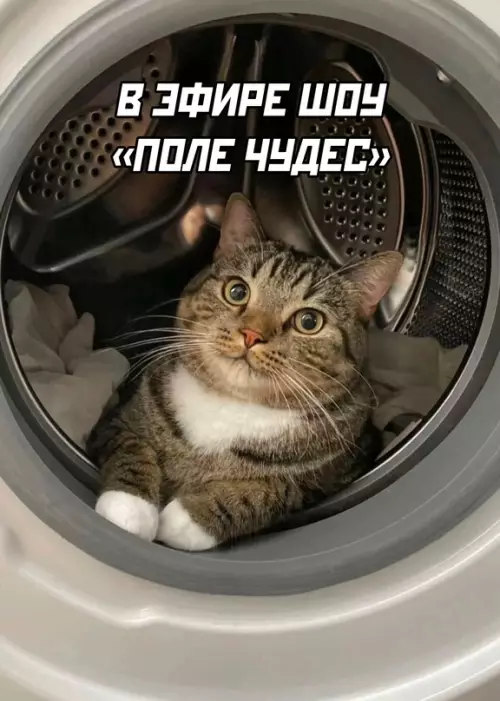 Смешная картинка №703372