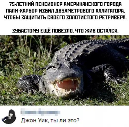 Смешная картинка №370187