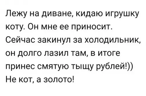 Смешная картинка №292373