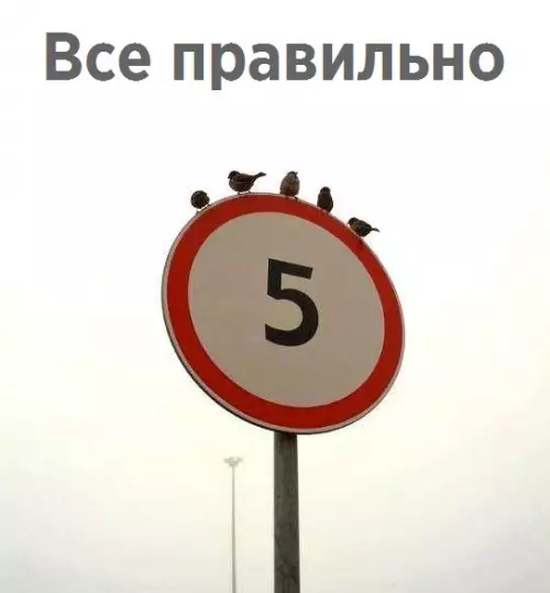 Смешная картинка №245291