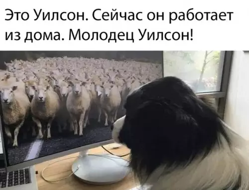 Смешная картинка №481949