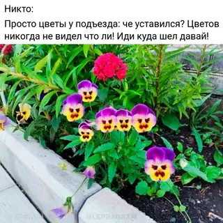 Смешная картинка №684791