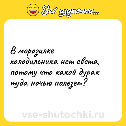 Шутка: В морозилке холодильника нет света, потому что какой дурак туда ночью полезет?