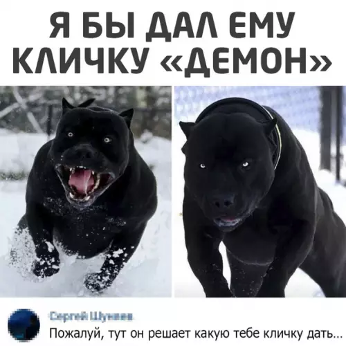 Смешная картинка №527546