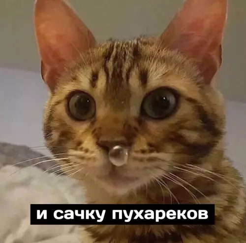 продолжение Смешная картинка №685958