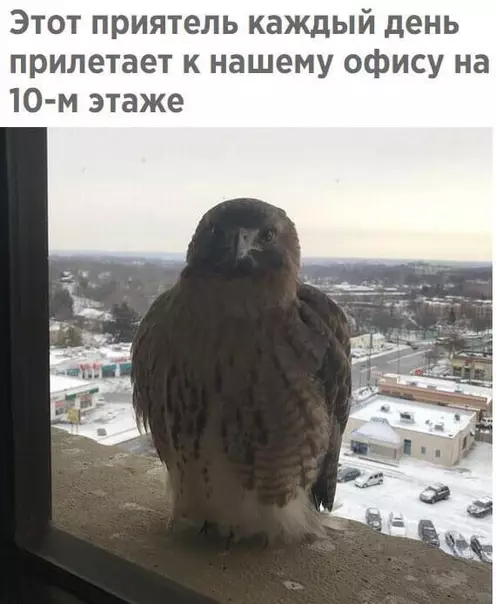 Смешная картинка №458730 Просто кому-то из сотрудников прислали письмо из Хогвардса