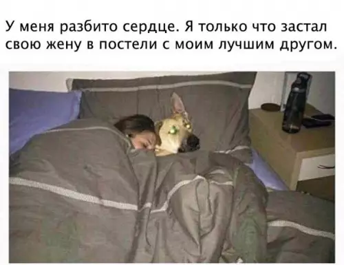 Смешная картинка №221427