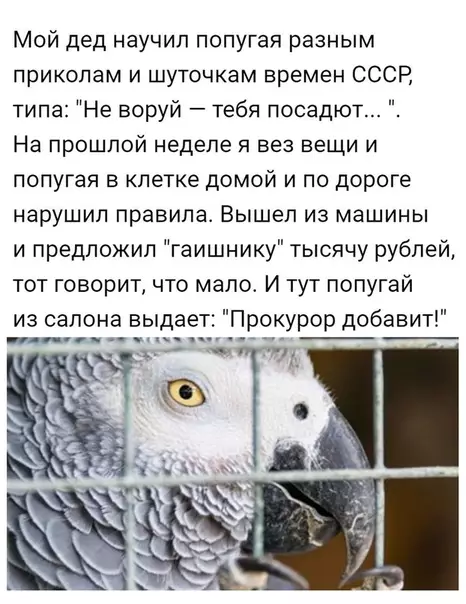 Смешная картинка №396953