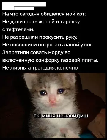 Смешная картинка №740797