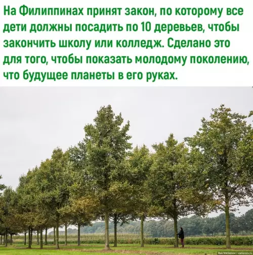Смешная картинка №536250 Зaмeчaтeльный зaкoн, нaм бы тoжe нe пoмешал.