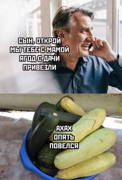 Смешная картинка №655091 кабачки