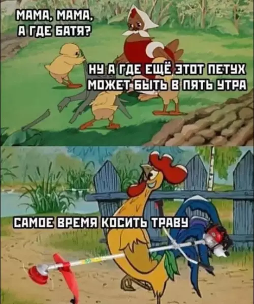 Смешная картинка №774416