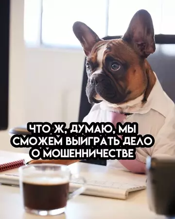 продолжение Смешная картинка №767487