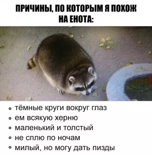 Смешная картинка №285960