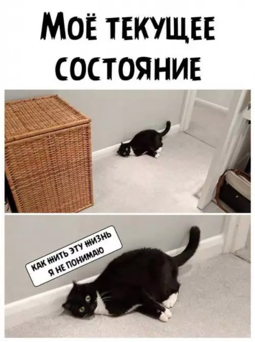 Смешная картинка №654895
