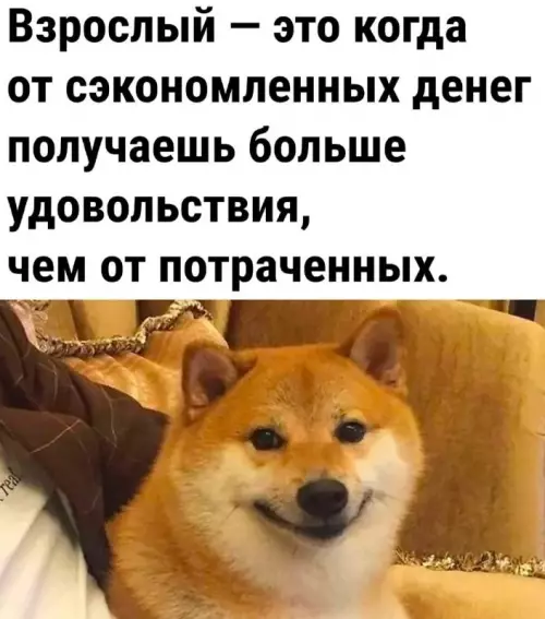 Юмор о взрослом возрасте