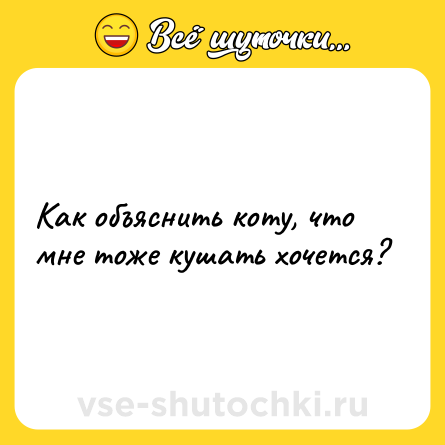 Шутка: Как объяснить коту, что мне тоже кушать хочется?