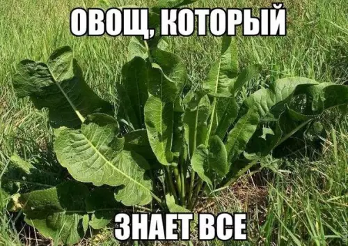 Смешная картинка №180467