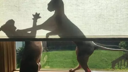 Смешная картинка №803923