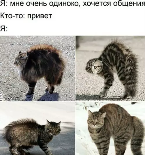 Смешная картинка №560304