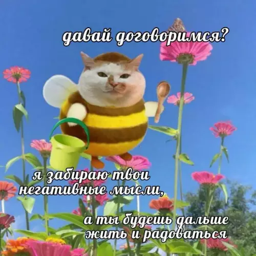 Кот-пчела пришел за твоим негативом! 🐝🐱 - давай договоримся? я забираю твои негативные мысли, а ты будешь